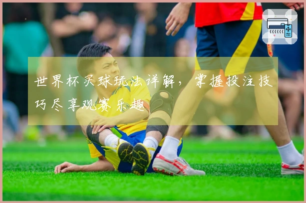 世界杯买球玩法详解，掌握投注技巧尽享观赛乐趣