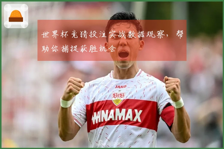 世界杯竞猜投注实战数据观察，帮助你捕捉获胜机会