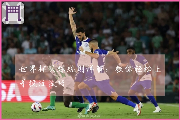 世界杯买球规则详解，教你轻松上手投注技巧