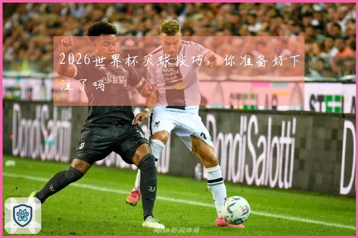 2026世界杯买球技巧，你准备好下注了吗