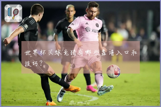 世界杯买球竞猜有哪些靠谱入口和技巧？