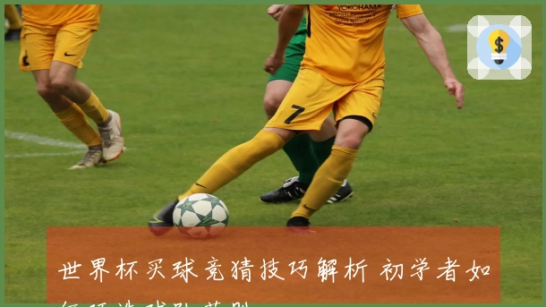 世界杯买球竞猜技巧解析 初学者如何巧选球队获胜