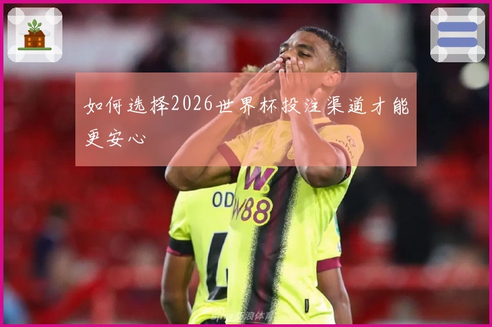 如何选择2026世界杯投注渠道才能更安心