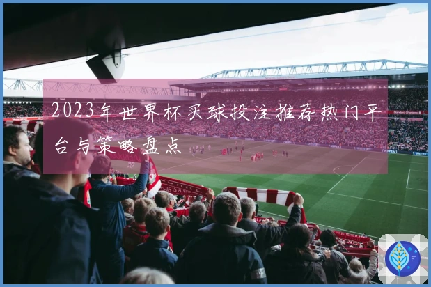 2023年世界杯买球投注推荐热门平台与策略盘点