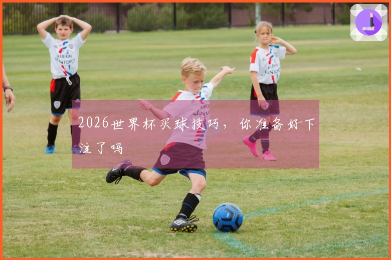 2026世界杯买球技巧，你准备好下注了吗