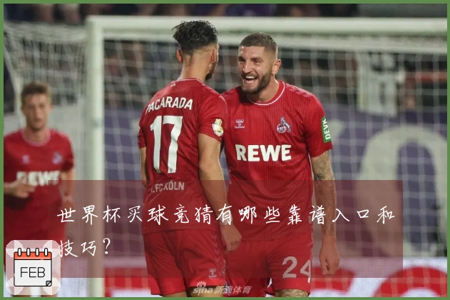 世界杯买球竞猜有哪些靠谱入口和技巧？
