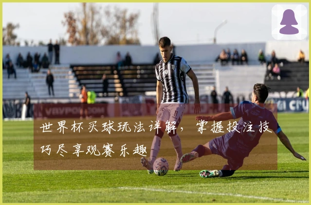 世界杯买球玩法详解，掌握投注技巧尽享观赛乐趣